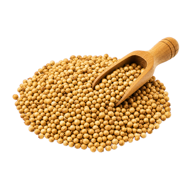 Coriander Seeds